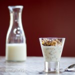 Nut-Free Chewy Granola